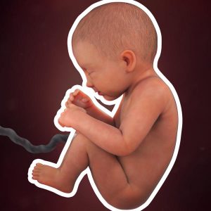 pregnancy-week-34-lung-development